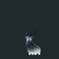 Grace in the Wild Design