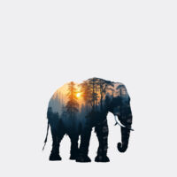 Gentle in the Wild Design