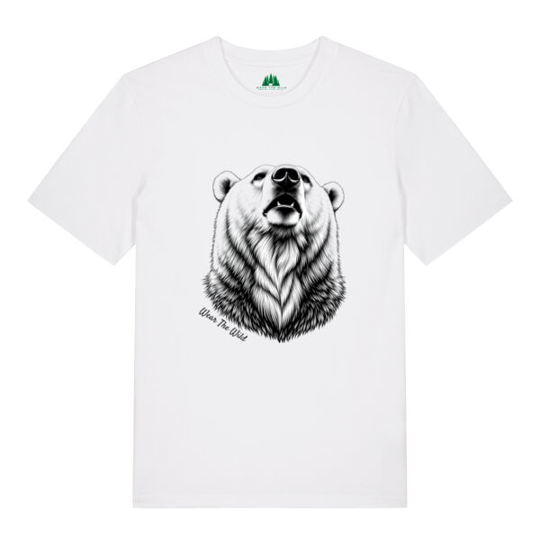 Bear's legacy Thumbnail