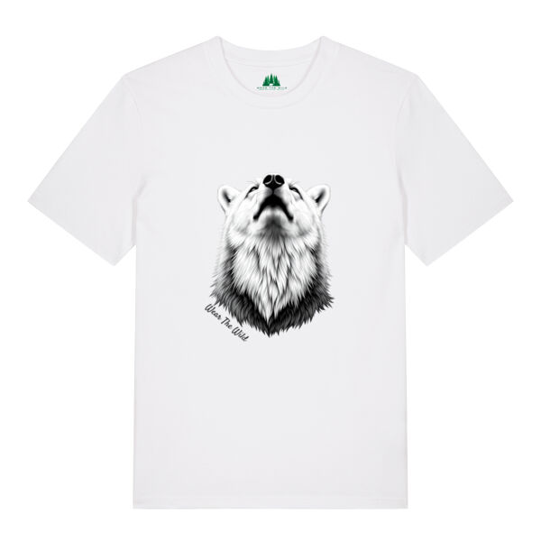 Fox's legacy Thumbnail